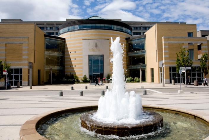 York University York University